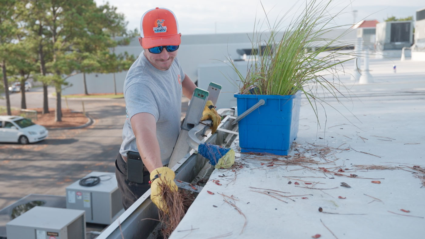 a Window Ninjas team member cleaning a gutter on a ladder. 